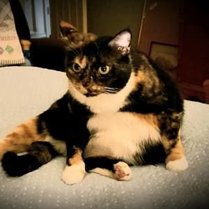 Meet your Posher, Karen